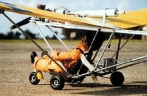 Cloudhopper motordrachen - cloudhopper.,